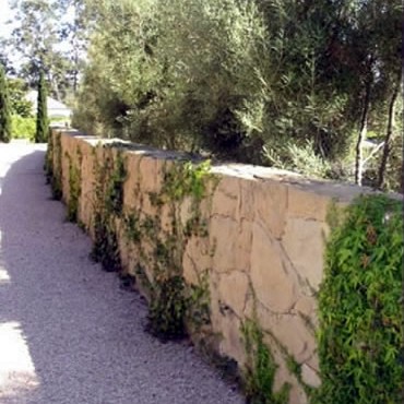 Birnam Wood-Wall