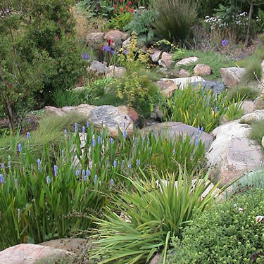 Hope Ranch Boulder Set