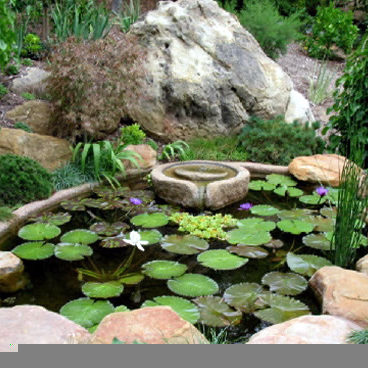 SiFountain3b