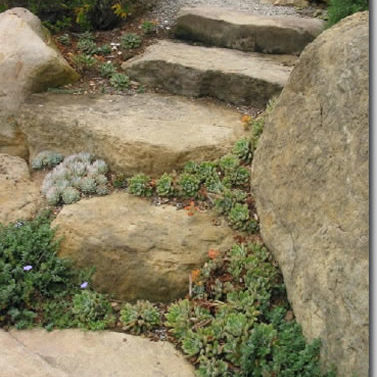 SiStoneSteps3